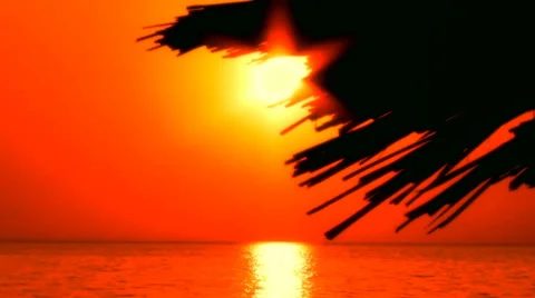 Tropical romantic background Stock Footage 30427657