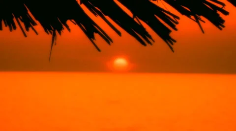 Tropical romantic background Stock Footage 30427716