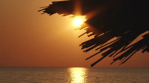 Tropical romantic background Stock Footage 30427728