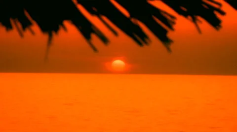 Tropical romantic background Stock Footage 30427850