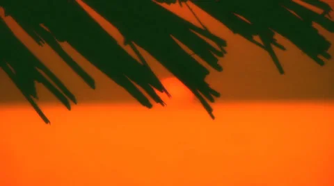 Tropical romantic background Stock Footage 30427879