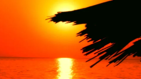 Tropical romantic background Stock Footage 30428030