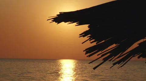 Tropical romantic background Stock Footage 30428163