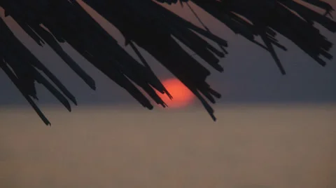 Tropical romantic background Stock Footage 30428209