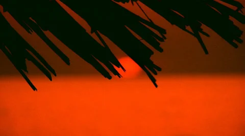 Tropical romantic background Stock Footage 30428273