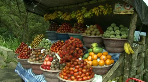 Tropical rural fruit stand 스톡 동영상 8519604