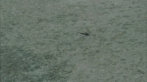 Tropical Sandbar Stock Footage 38059192