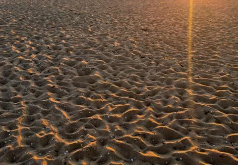Tropical sandy background with sandy waves. The texture of a sandy beach. V.. Stock Photos