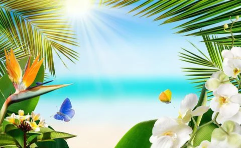 Tropical sandy beach with blurred sea tropical palm leaves, plants, flowers and Stock Photos