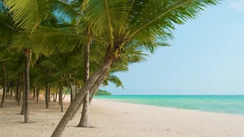 Tropical sandy beach with coconut palm trees with turquoise water ocean with Stock Footage 312813768