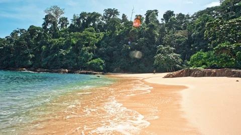 Tropical sandy beach Video stock 86845435