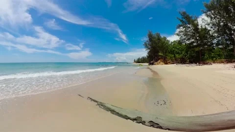 Tropical sandy beach. Stock Footage 233264985