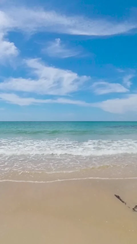 Tropical sandy beach. Stock Footage 311608398