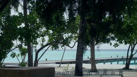 Tropical sandy beach with palm trees and a pier. Stock Footage 90540298