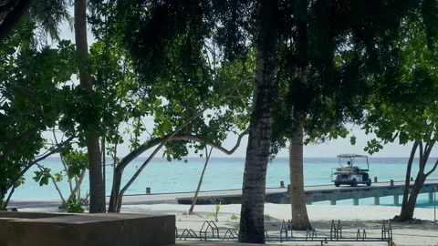 Tropical sandy beach with palm trees and a pier. Видео 90541020