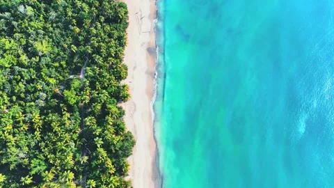 Tropical sandy beach with palm trees on a hot day on a paradise island. Stock Footage 252053064