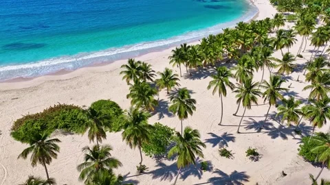 A tropical sandy beach with palm trees on a hot day on a paradise island. Stockbeeldmateriaal 336228717