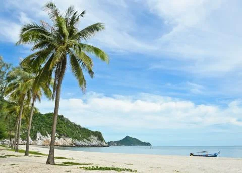 Tropical sandy beach Stock Photos