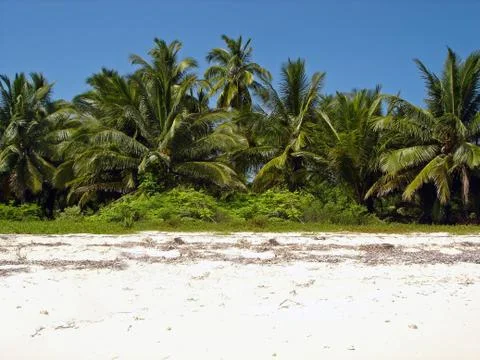Tropical Sandy Beach Stock Photos