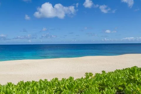 Tropical Sandy Beach Stock Photos