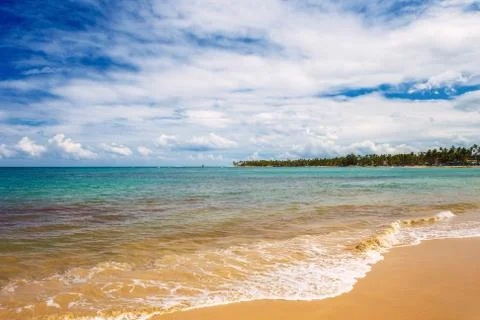 Tropical sandy beach Stock Photos