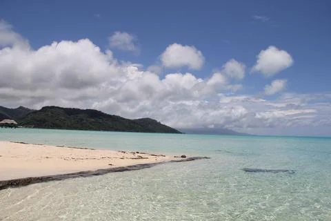 Tropical Sandy Beach Stock-Fotos