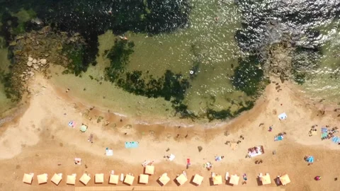 Tropical sandy beach. Top-down view. Beach umbrellas. A place of rest and Vidéo 158929424