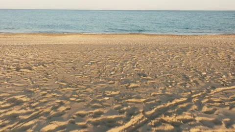 Tropical sandy beach under sunny light Stock Footage 244460927