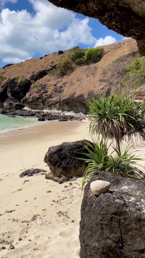 Tropical sandy beach view with rocks and palm trees. Stockbeeldmateriaal 340463422