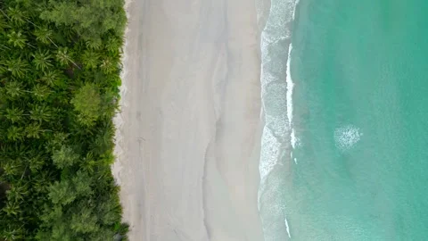 Tropical sandy coastline Stock Footage 248776913