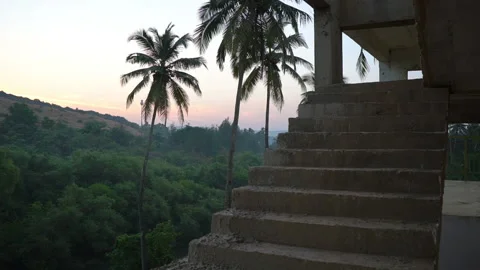 Tropical scape stone steps by palms jungle under morning sky Video stock 102097790