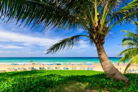 Tropical scene Stock Photos