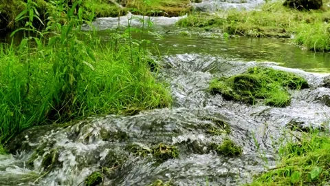 Tropical scenery. Slow shutter speed, motion photography. Stock Footage 161779085