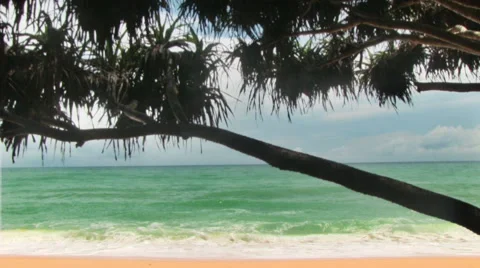 Tropical Sea Видео 63136787