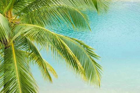 Tropical sea Stock Photos
