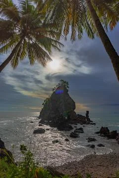 Tropical Sea Stack Framed by Coconut Palm Trees 스톡 사진