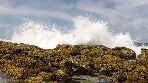 Tropical Sea with waves Видео 167308391