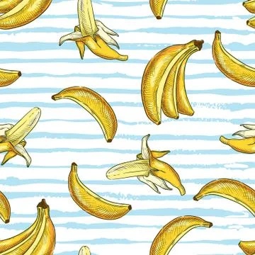 Tropical seamless pattern with bananas on blue watercolor stripes background. Illustrazione stock