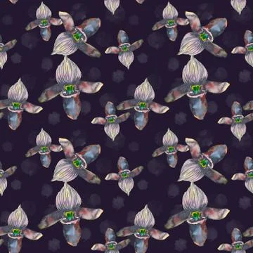Tropical seamless pattern with black orchids flowers. Tropic floral wallpaper Stock Illustration