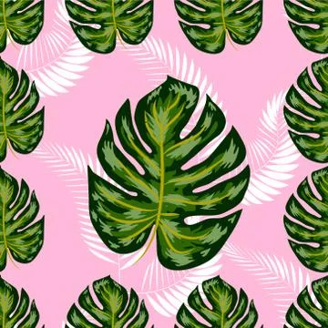 Tropical seamless pattern. Botany design, jungle leaves of palm tree, monster Illustrazione stock