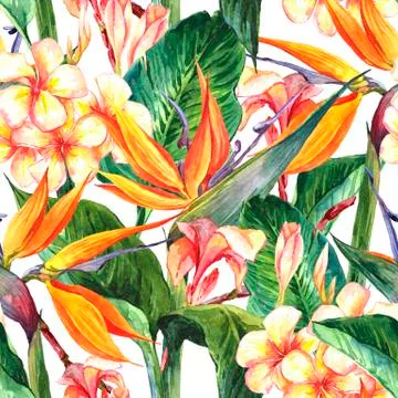 Tropical seamless pattern with exotic flowers Stock Illustration