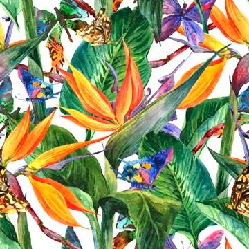 Tropical seamless pattern with exotic flowers Stock-Illustration