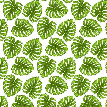 Tropical seamless pattern with exotic leaves in cartoon style Stock Illustration