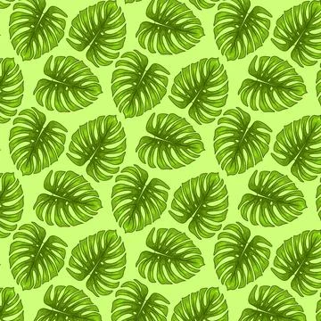 Tropical seamless pattern with exotic leaves in cartoon style Stock Illustration