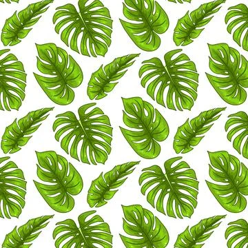 Tropical seamless pattern with exotic leaves in cartoon style Stock Illustration