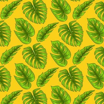 Tropical seamless pattern with exotic leaves in cartoon style Stock Illustration