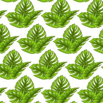 Tropical seamless pattern with exotic leaves in cartoon style Stock Illustration
