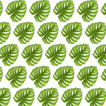 Tropical seamless pattern with exotic leaves in cartoon style Stock Illustration