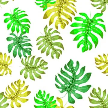 Tropical seamless pattern with exotic palm leaves. Vector illustration. Stock Illustration