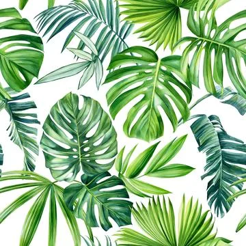 Tropical seamless pattern with exotic palm tree. Summer floral watercolor Stock Illustration